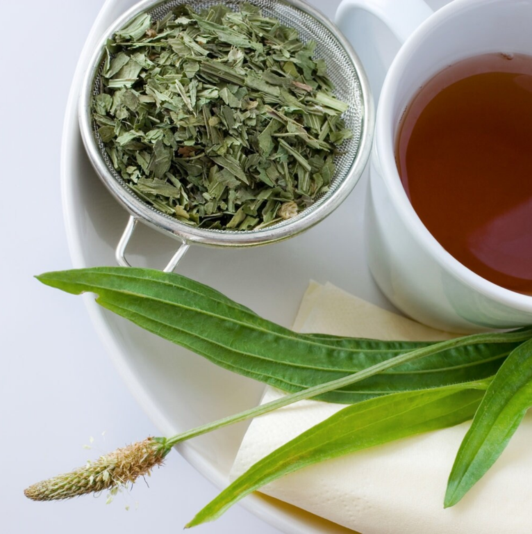 Pearl House of Arts Landing Page (21)